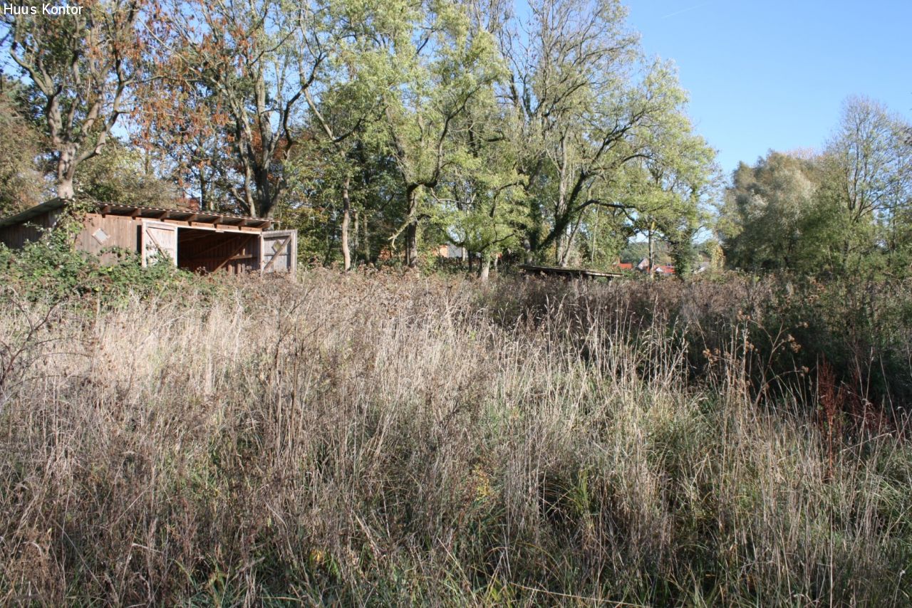 Wiese mit Unterständen