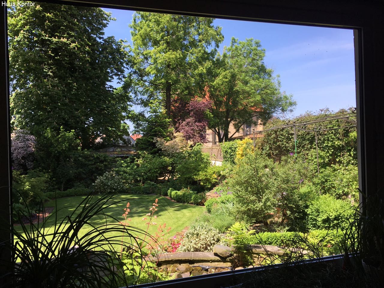 Blick in den Garten (Sommer)