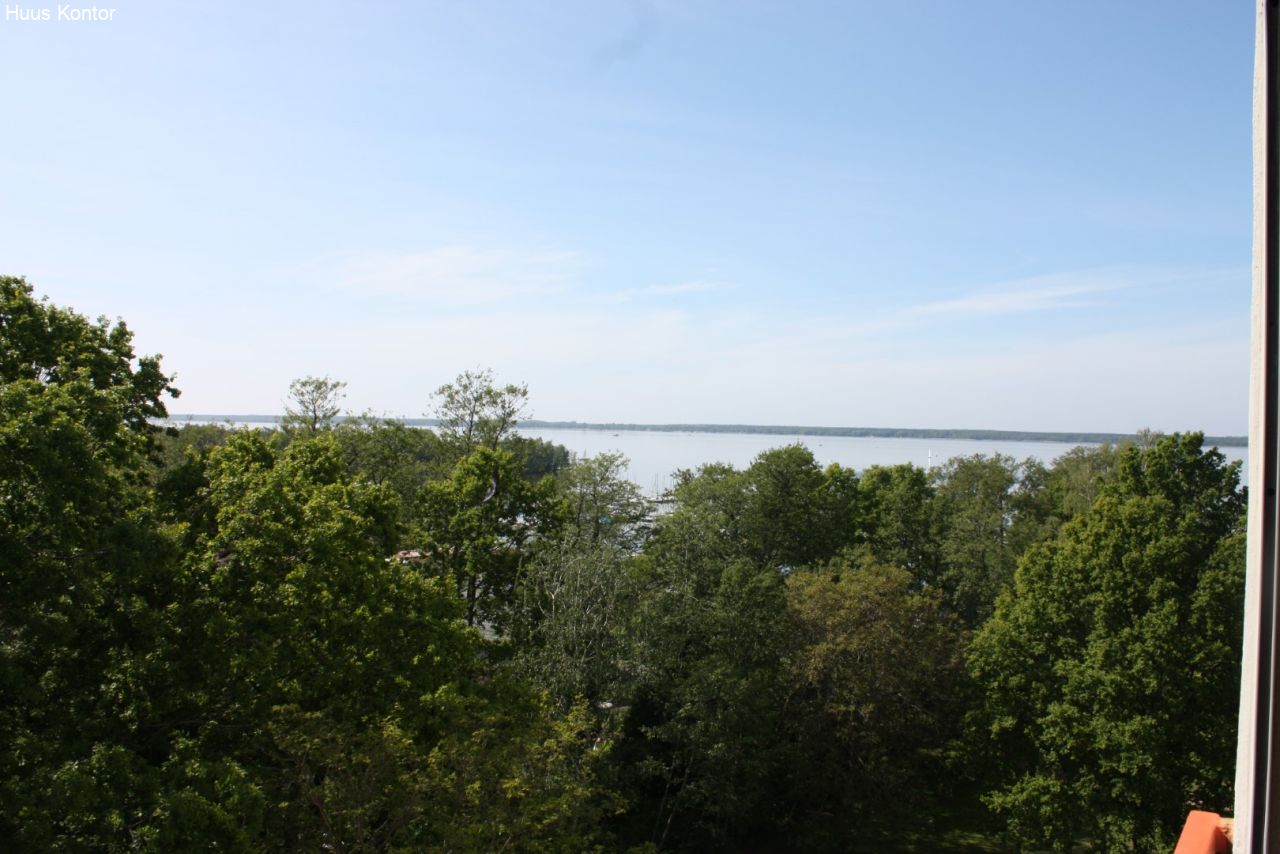 Ausblick Ausblick