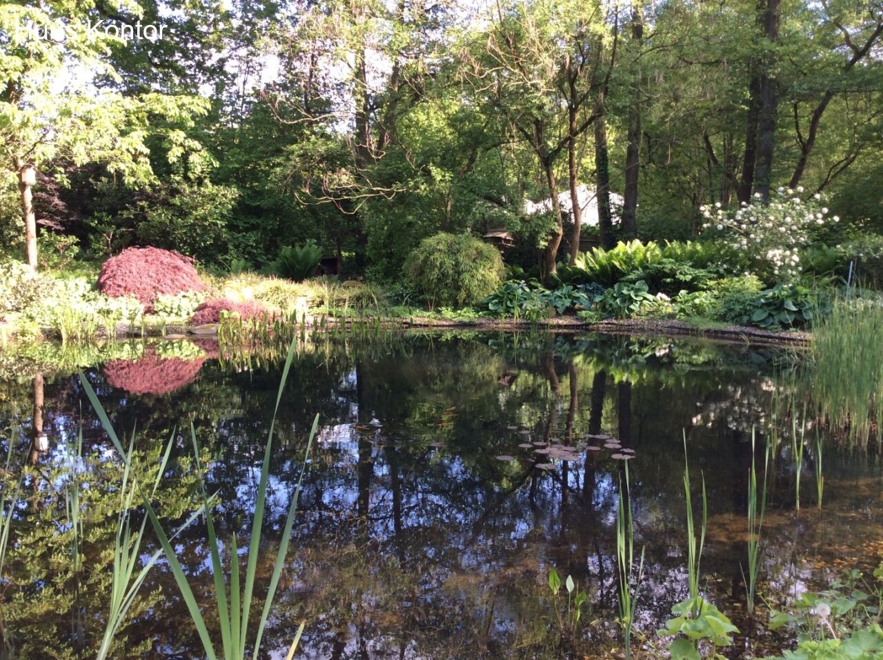 Gartenteich 