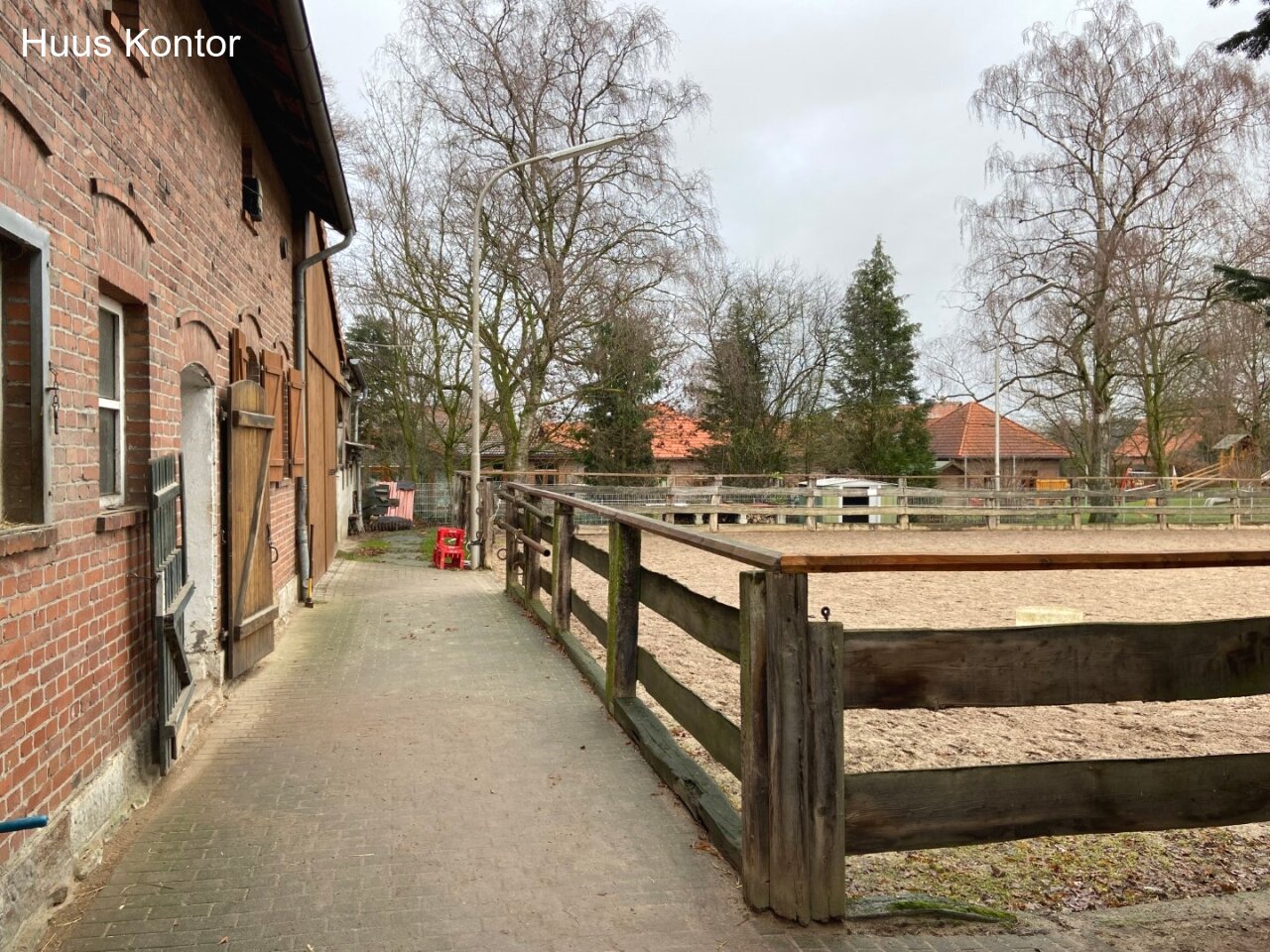 Vom Stall zum Reitplatz