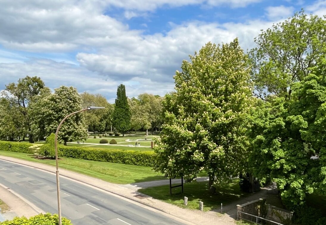 Ausblick zum Stadtpark