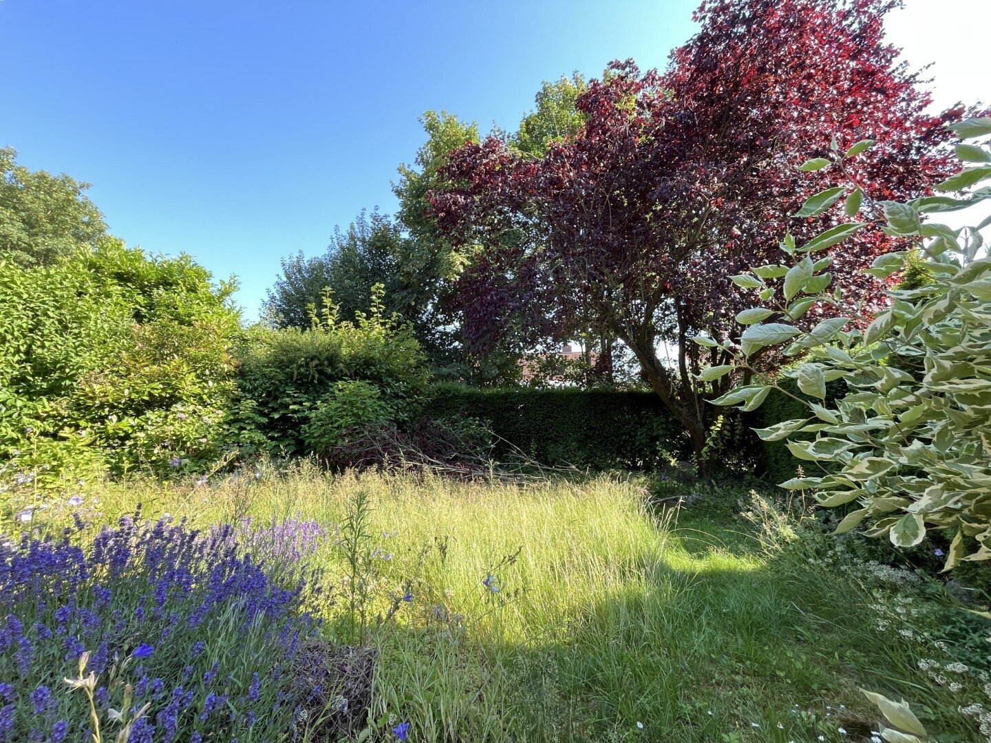 Garten Garten