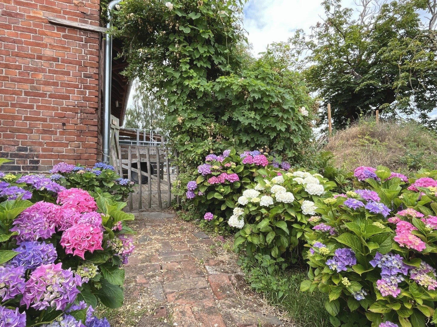 Bauerngarten Bauerngarten