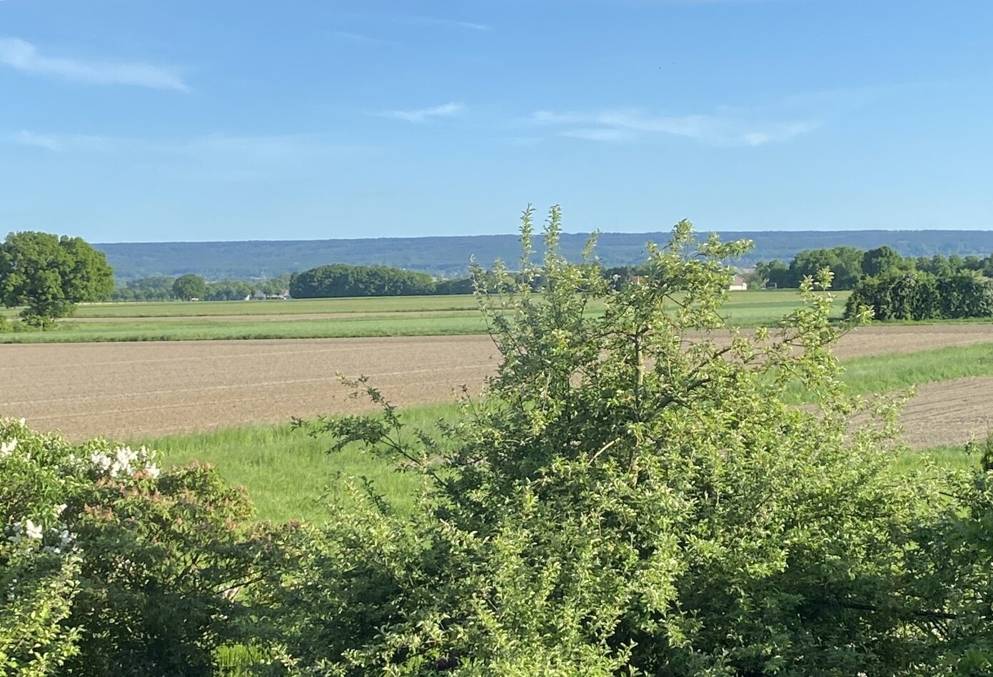 Fernblick vom Balkon
