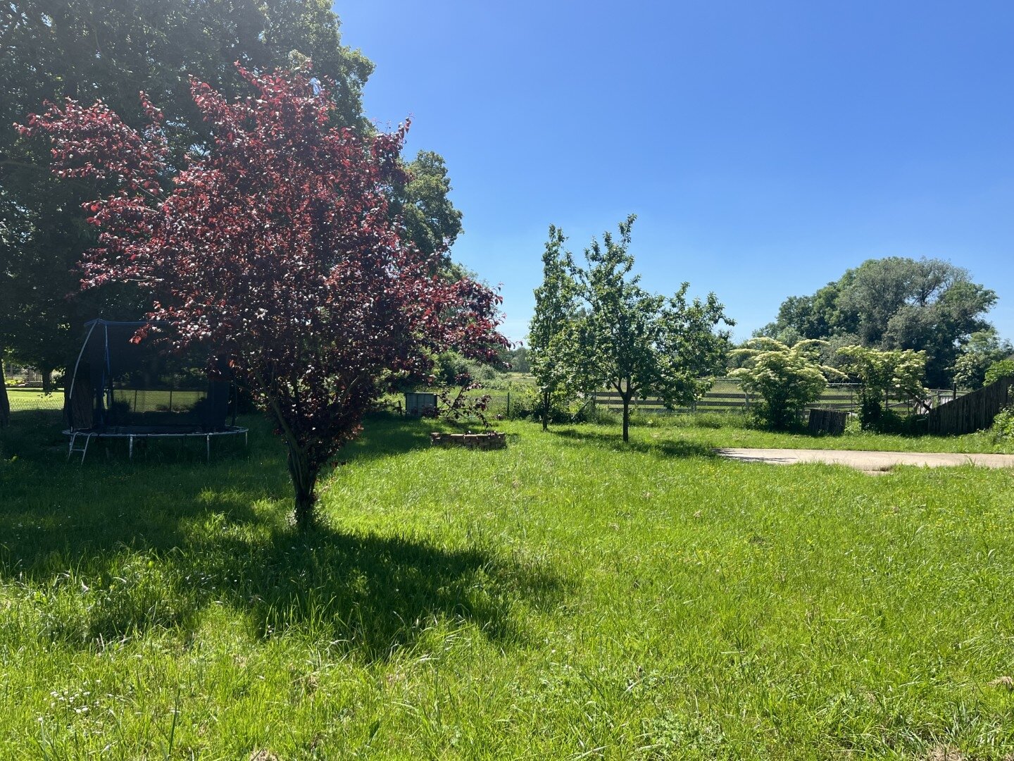 Garten Garten