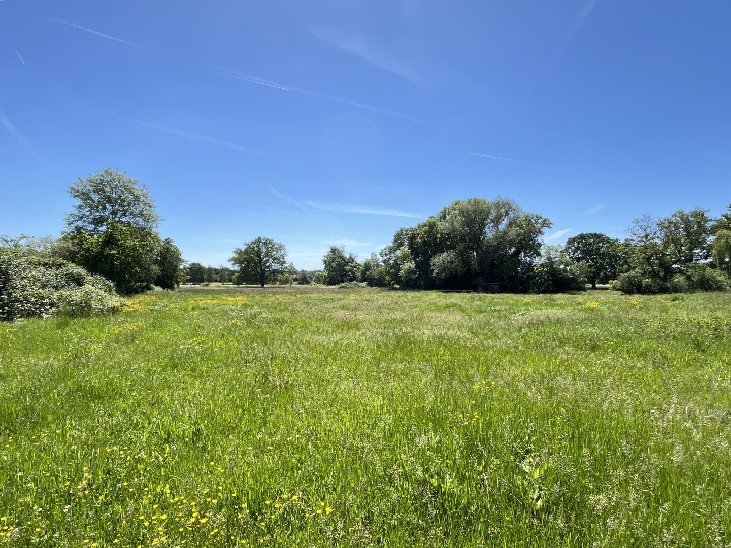 Weideland Weideland